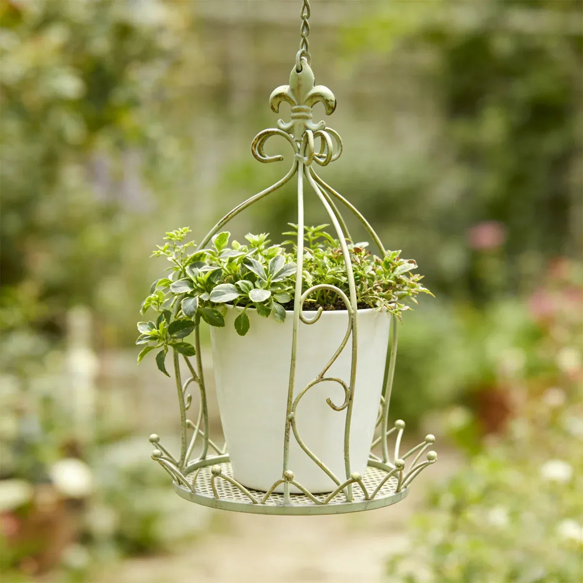 Vintage Iron Hanging Flower Basket – Crown-Style Garden Planter