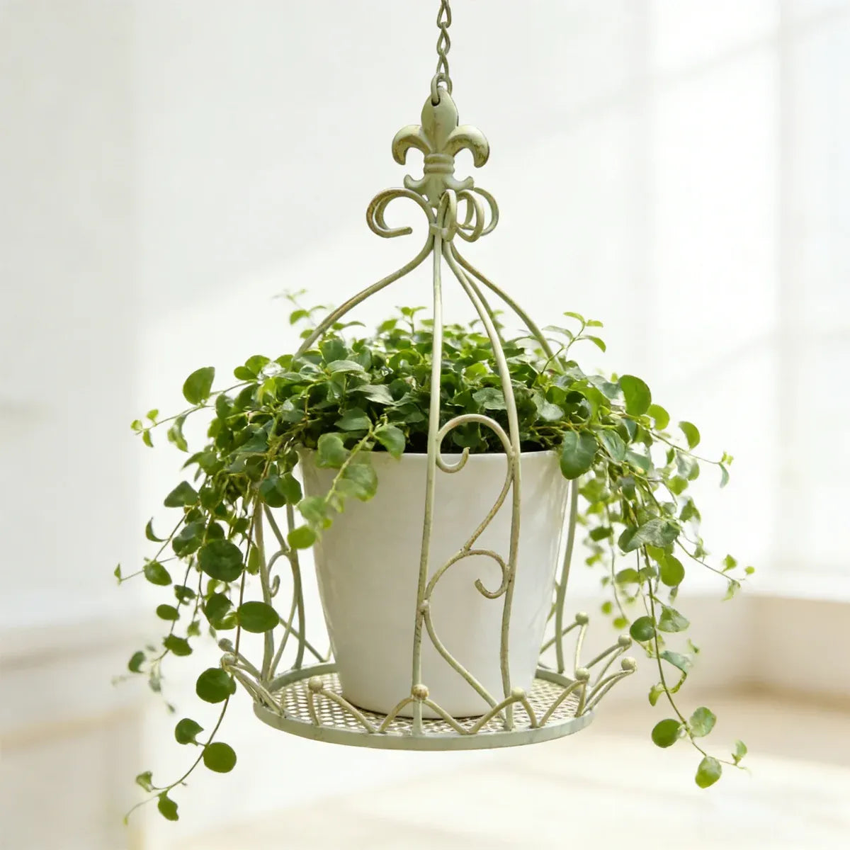 Vintage Iron Hanging Flower Basket – Crown-Style Garden Planter